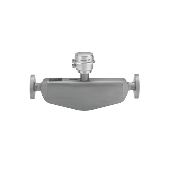 Proline Promass H 100